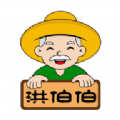 洪伯伯