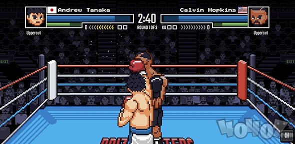 职业拳击手2