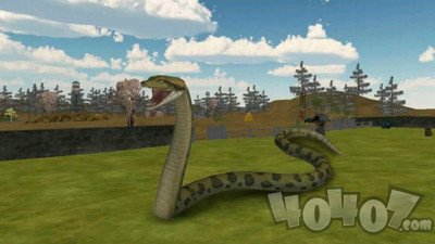 蛇出没