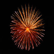 烟花best Firework