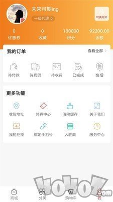 璞玉流光