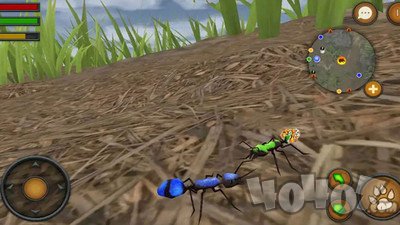 全员加速之疯狂加速