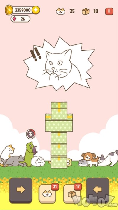 进来吧猫咪纸箱