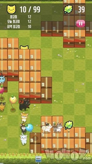 猫尾巴奇妙经历