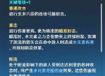 原神达达利亚用什么武器 公子武器选择推荐
