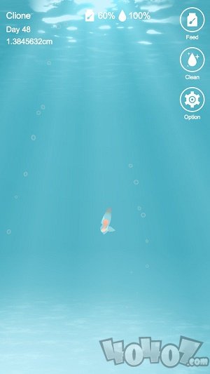 海天使生活