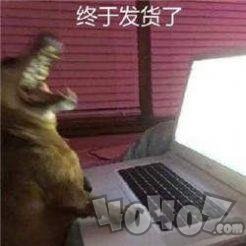 双十一取快递