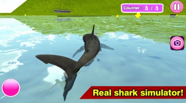 真实鲨鱼模拟器截图