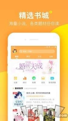 七星猫小说
