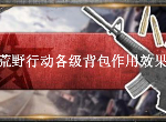 荒野行动背包怎么得 各等级背包作用效果介绍