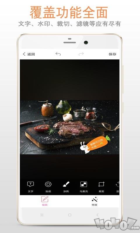 图片加文字大师