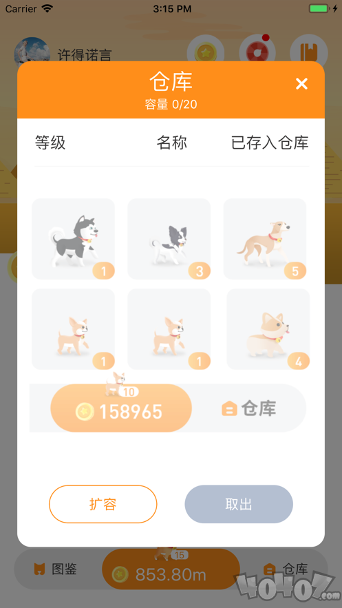 解救单身狗