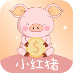 小红猪贷款最新版