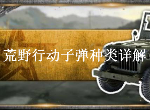 荒野行动子弹种类有什么 子弹适用枪类介绍