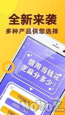 双双贷