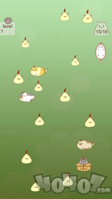 抓住流浪猫