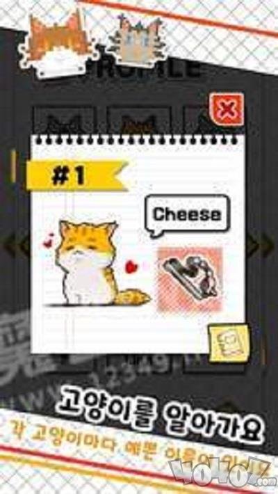 鱼铺猫