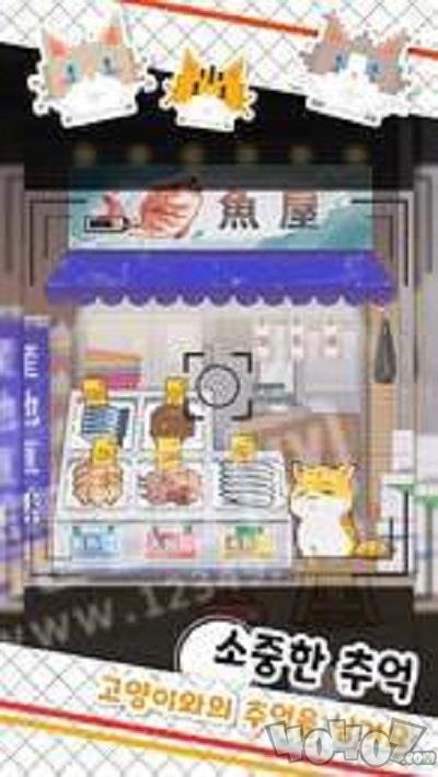 鱼铺猫