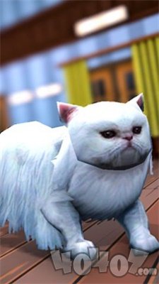 虚拟宠物猫2020