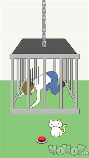 我的小猫在哪里