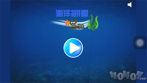 海洋拼图