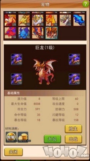 幻想龙之乡