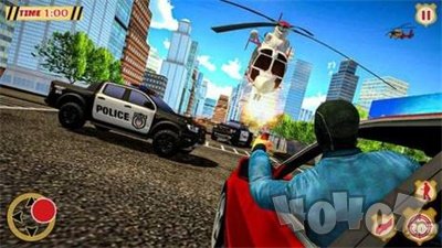 Gangster Kill Police