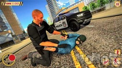 Gangster Kill Police
