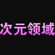 次元领域
