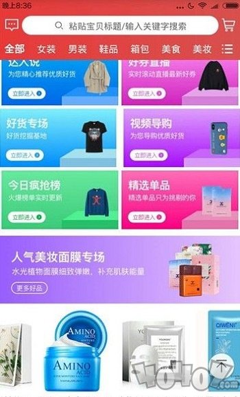 飞鼠