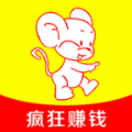 飞鼠