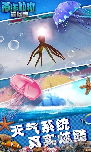 海洋动物模拟器