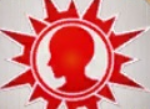 fgo人类指令纹章 fgo全刻印指令纹章图鉴之人类