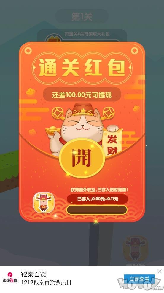 滚猫猫