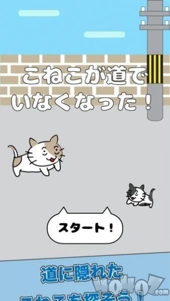 小猫不见了