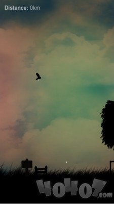最后的生存鸟