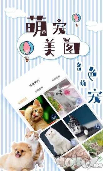 人猫翻译交流器