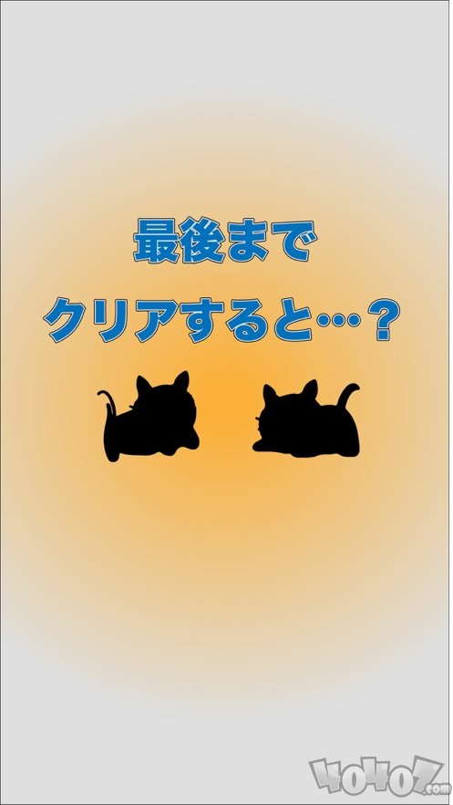 寻找路边消失的小猫