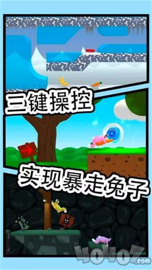 超级疯狂兔子人