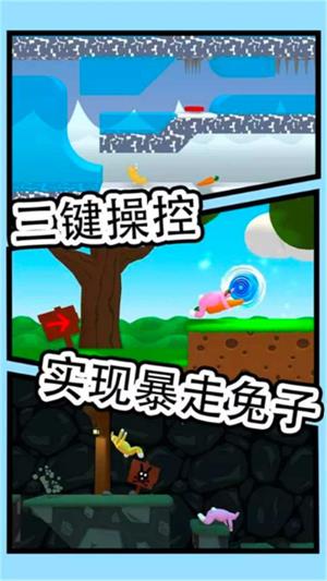超级疯狂兔子人截图