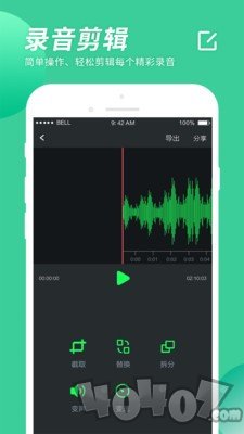 小海星