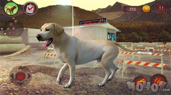 拉布拉多模拟