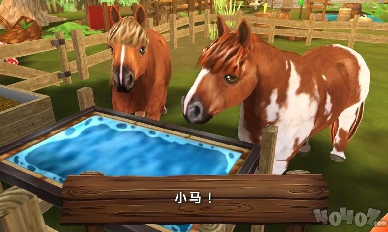 动物旅馆