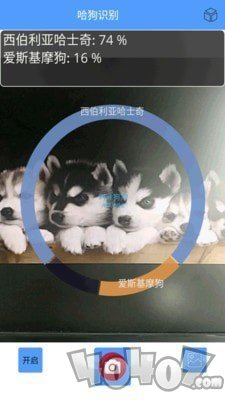 形色识物