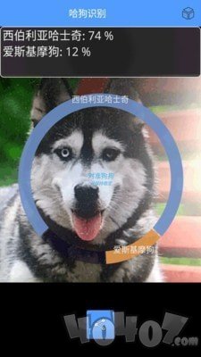 形色识物