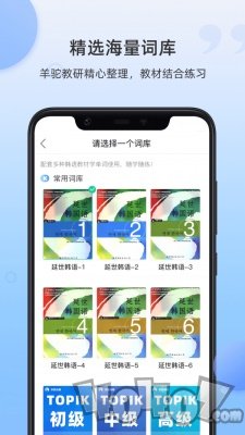 羊驼韩语单词