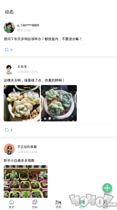 肉肉家