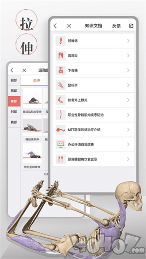 3D运动健康