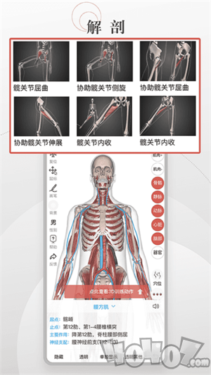 3D运动健康