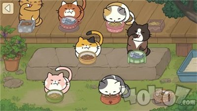 猫可爱极了